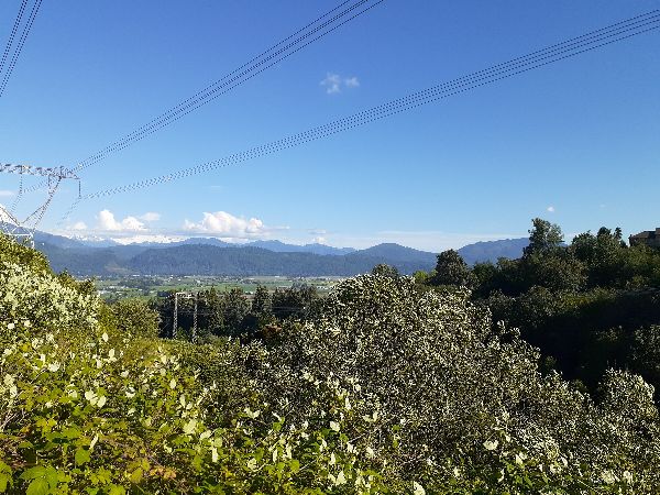 Mountains from Abbotsford